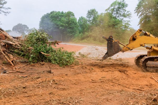Cost of Ground Clearing in Millsboro