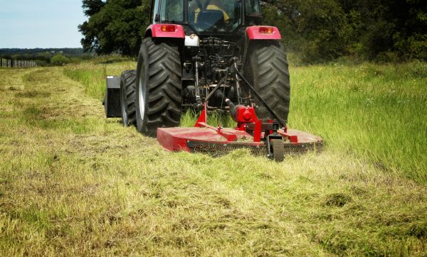 Cost of Brush Clearing Service in Millsboro