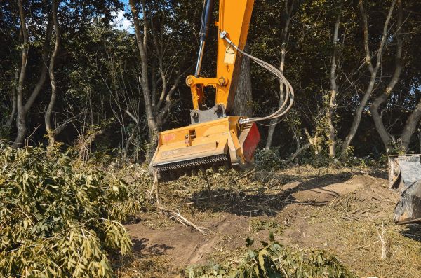 Cost of Brush Removal Service in Millsboro