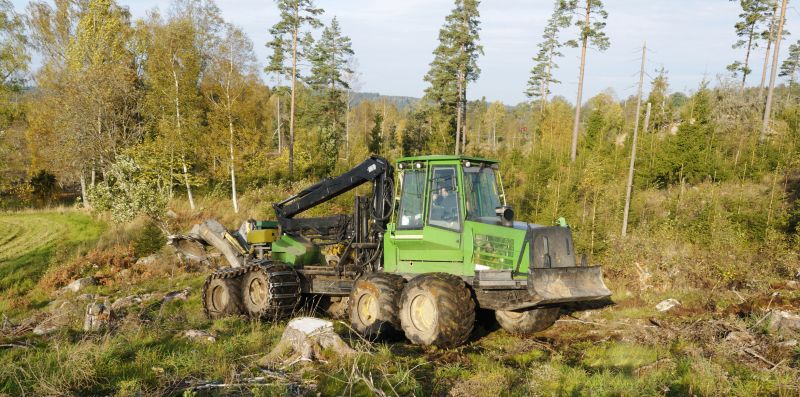 Forestry Clearing