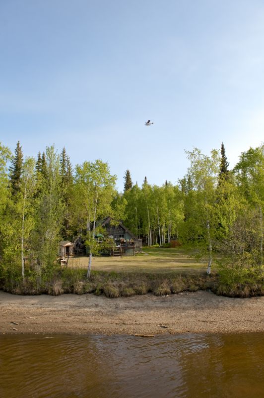Clear Land in Winter